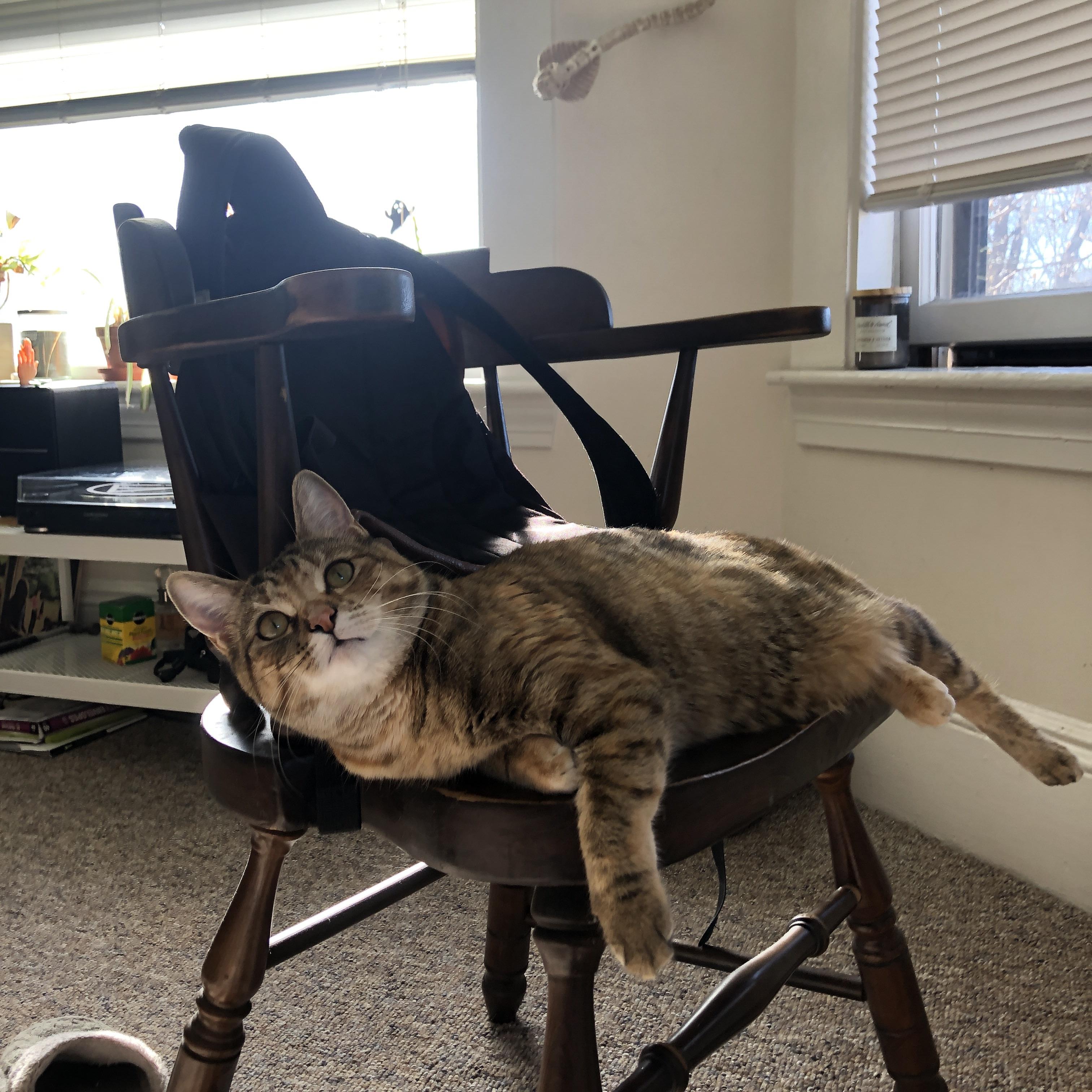 众星云集:国际台球界的名人嘉宾,著名台球选手