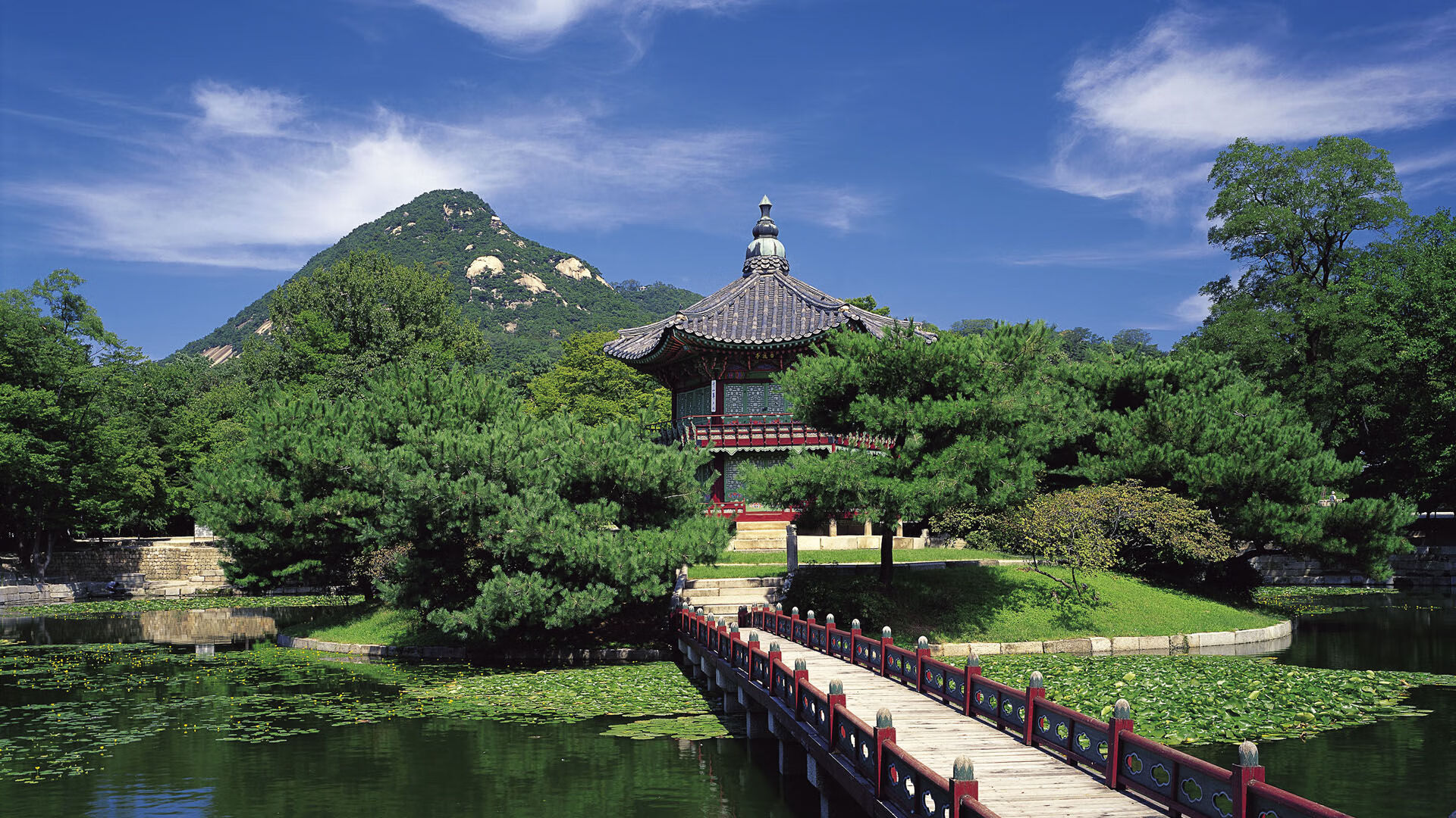 团队配合：北京队助攻达25次，传球极为流畅！，北京队球员