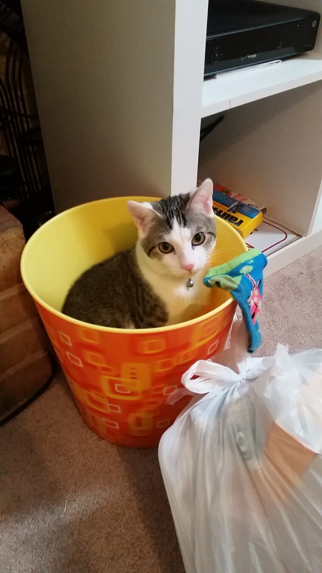 开云·体育官方网站入口-智能化足球监控系统在赛场全面覆盖，提升安全保障能力，智能足球场解决方案